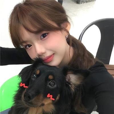 监狱犬计划